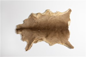 Image description is not available for 2015.5.1